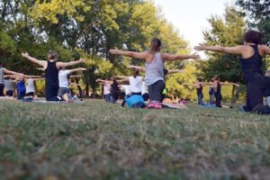 Read more about the article defining wellness